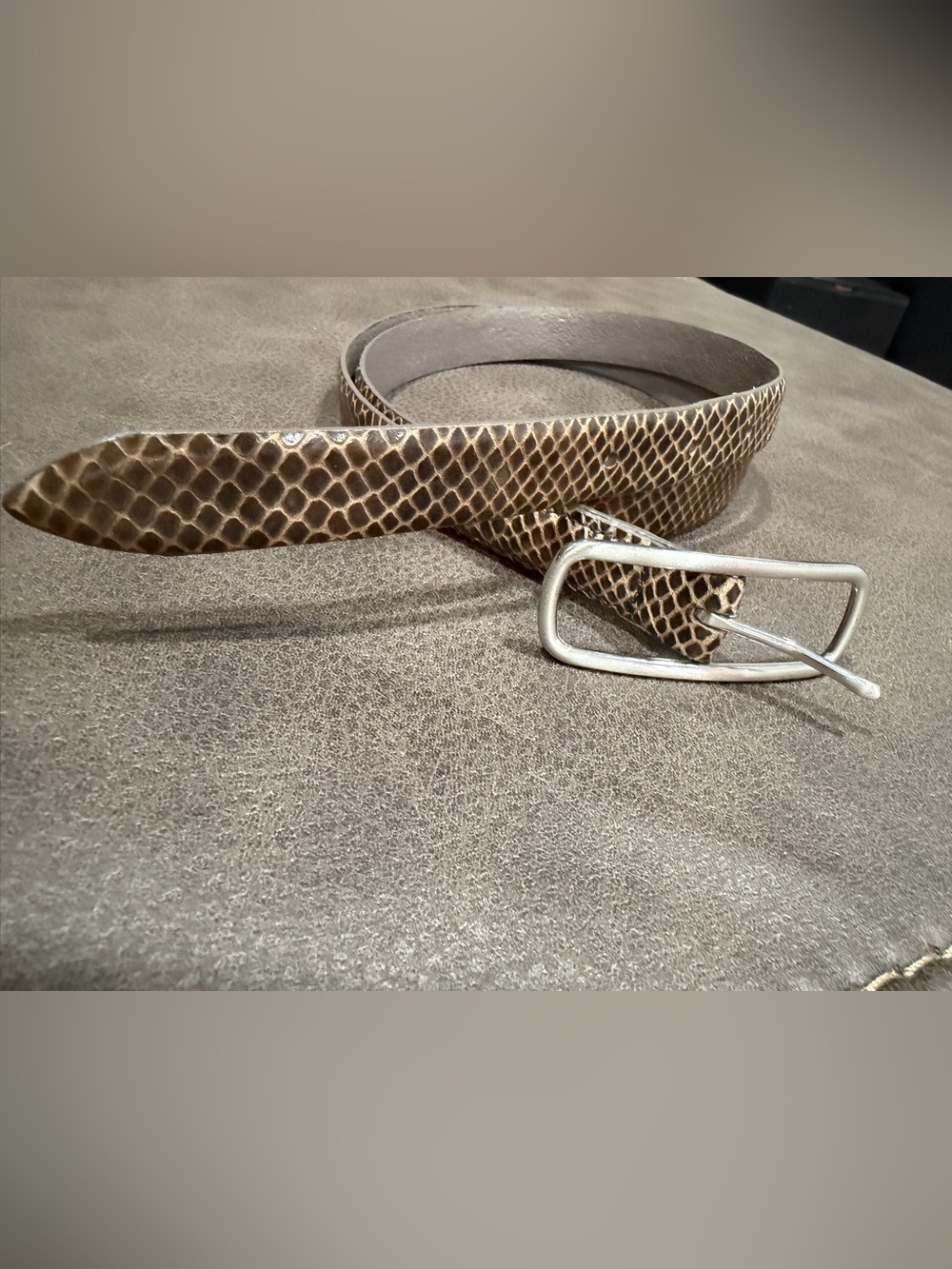 GAP Snake-Print Brown Leather Belt with Silver Buckle